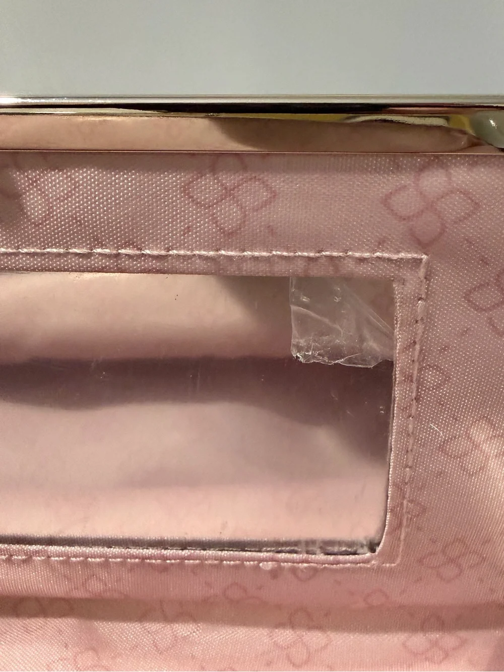 Elegant Gray Faux Snakeskin Cosmetic Case with Silver Frame